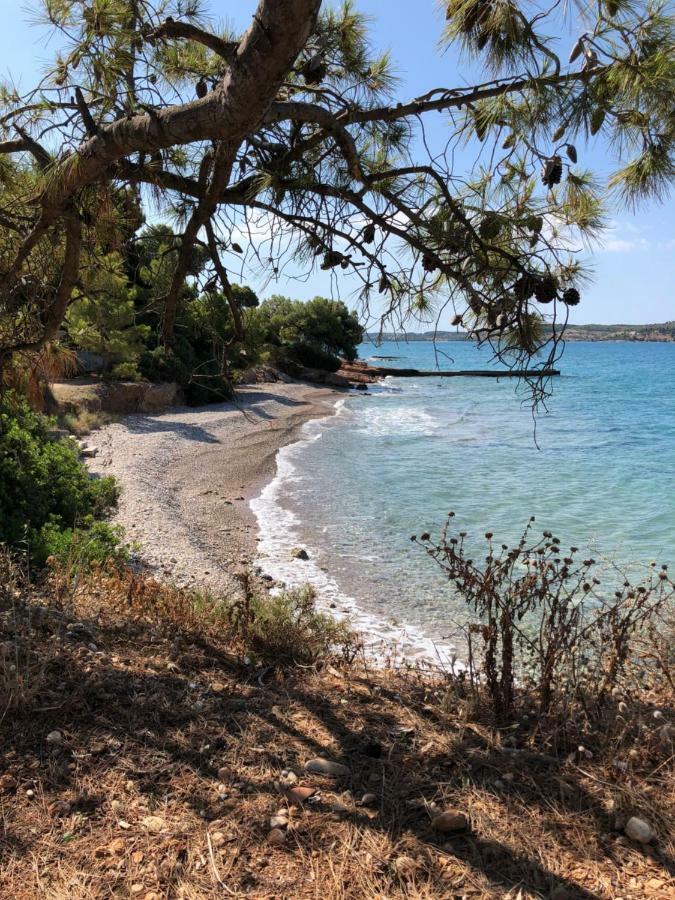 Villa Marina Porto Heli Dış mekan fotoğraf